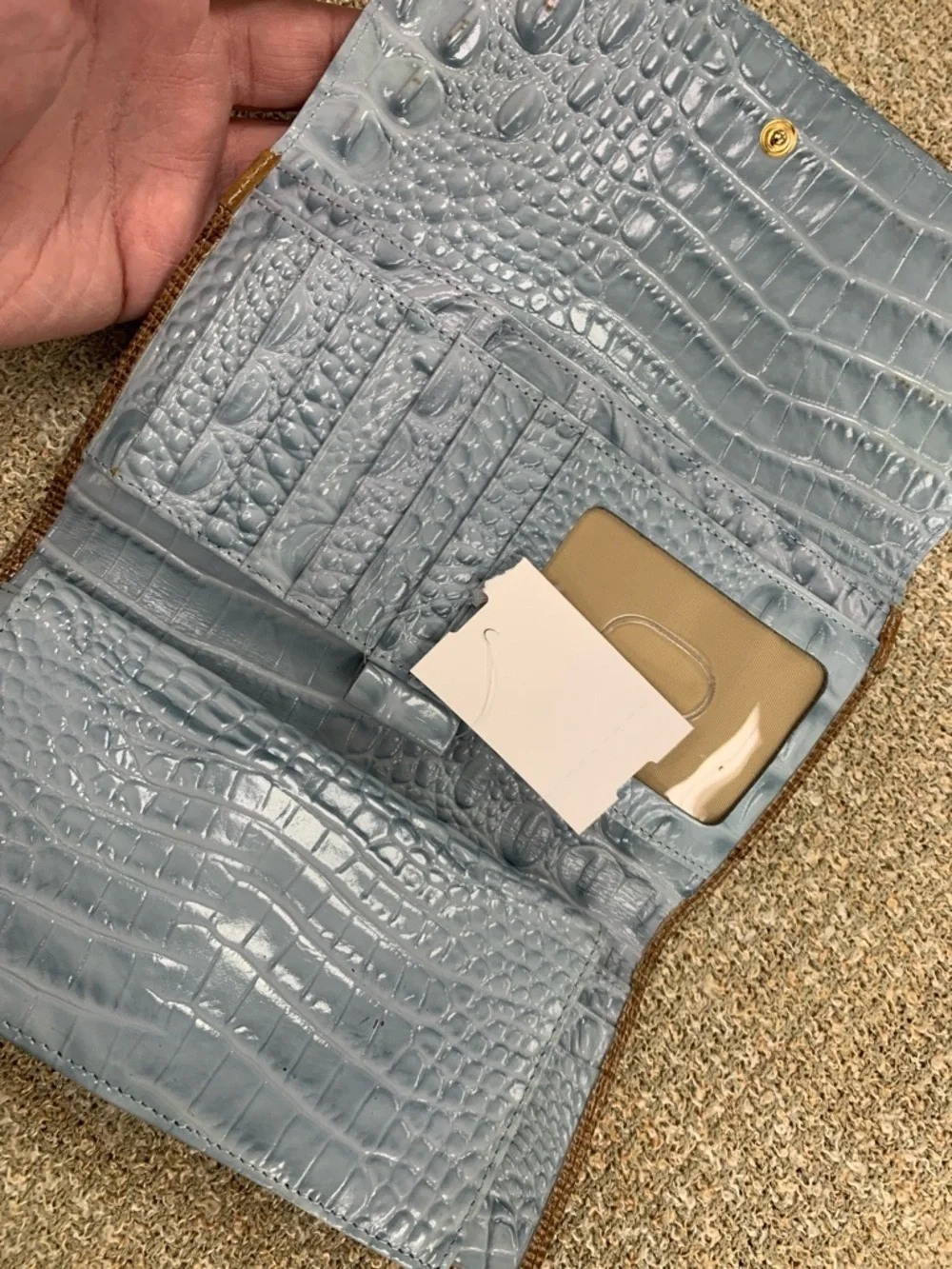 Brahmin glossy croc
