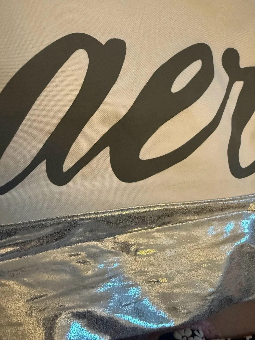 aerie nwt oversized